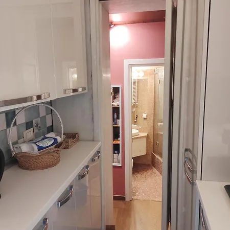Library's House *
